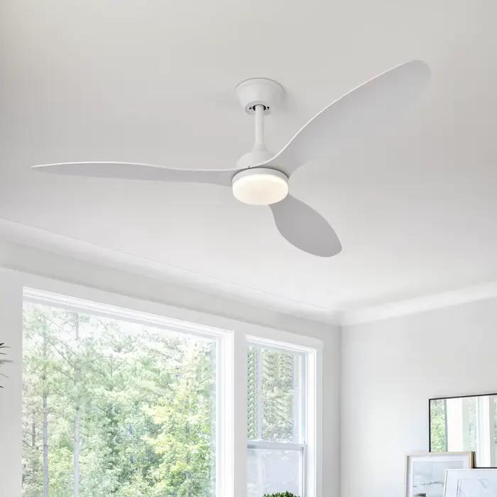 Ventilateur de plafond avec lumière, ventilateur de plafond à profil bas de 25 pouces/42 pouces/52 p