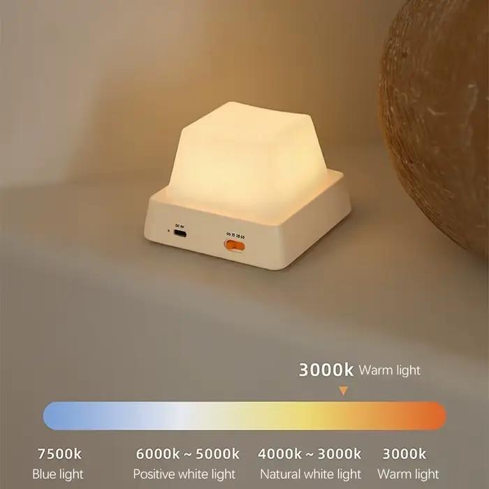LED veilleuses lampe de Table de chevet décoration de chambre USB lampe à LED Rechargeable décor vacances bébé chambre pour cadeau d'anniversaire